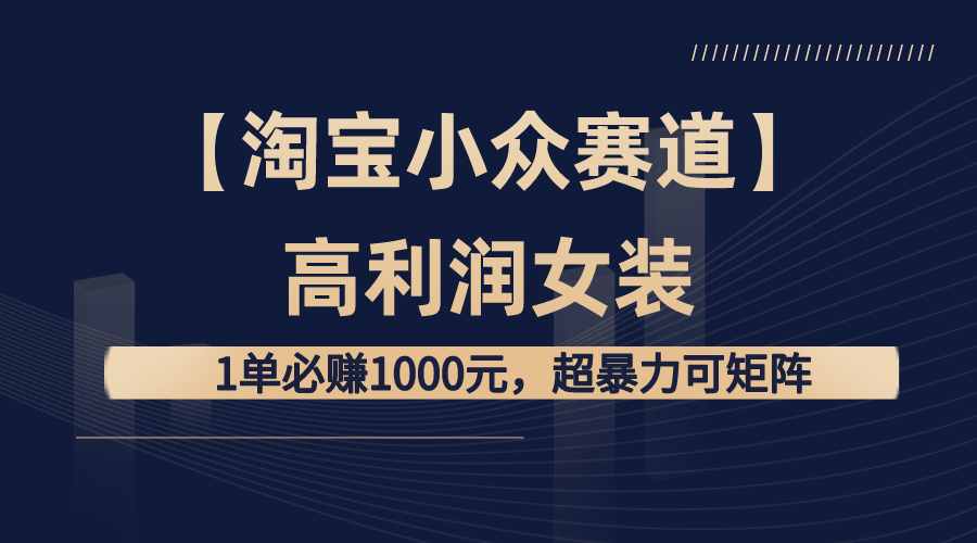 【淘宝小众赛道】高利润女装：1单必赚1000元，超暴力可矩阵-AI学习资源网