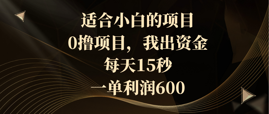 （8571期）适合小白的项目，0撸项目，我出资金，每天15秒，一单利润600-AI学习资源网