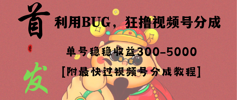 全网独家首发，视频号BUG，超短期项目，单号每日净收益300-5000！-AI学习资源网