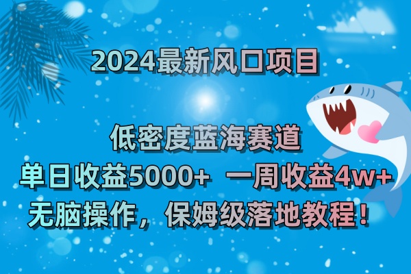 （8545期）2024最新风口项目 低密度蓝海赛道，日收益5000+周收益4w+ 无脑操作，保…-AI学习资源网