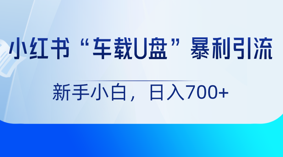 小红书“车载U盘”项目，暴利引流，新手小白轻松日入700+-AI学习资源网