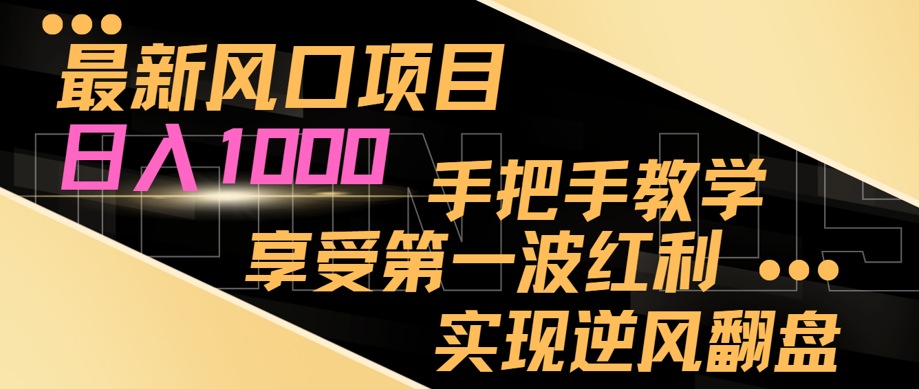 最新风口项目，日入1000，手把手教学，享受第一波红利，实现逆风翻盘-AI学习资源网