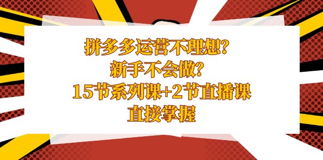 拼多多运营不理想？新手不会做？15节系列课+2节直播课学会直接掌握-AI学习资源网