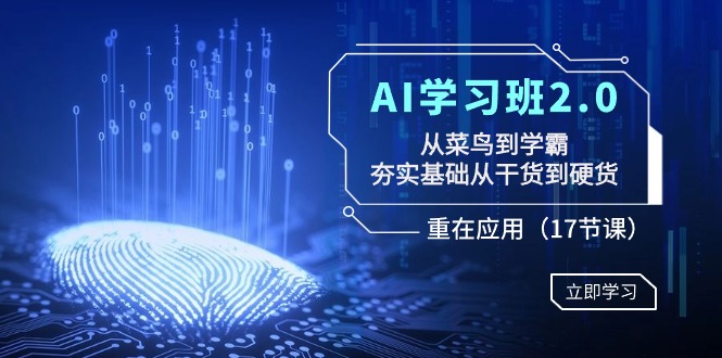 AI学习班2.0：从菜鸟到学霸，夯实基础从干货到硬货，重在应用（17节课）-AI学习资源网