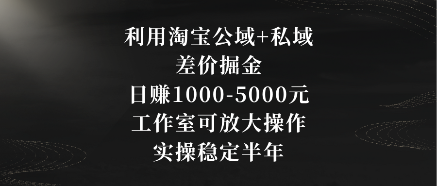 利用淘宝公域+私域差价掘金，日赚1000-5000元，工作室可放大操作，实操…-AI学习资源网