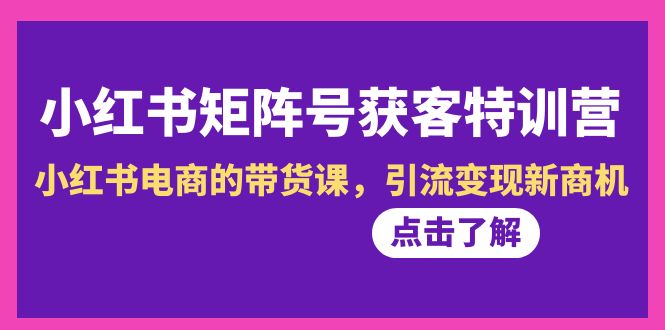 小红书-矩阵号获客特训营-第10期，小红书电商的带货课，引流变现新商机-AI学习资源网