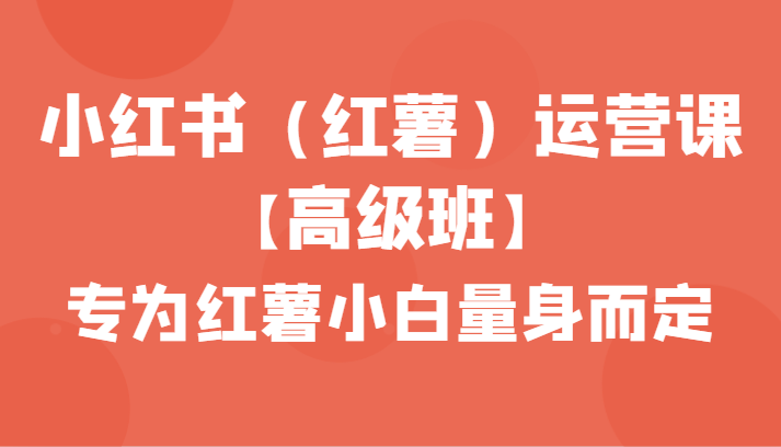 小红书（红薯）运营课【高级班】，专为红薯小白量身而定（42节课）-AI学习资源网