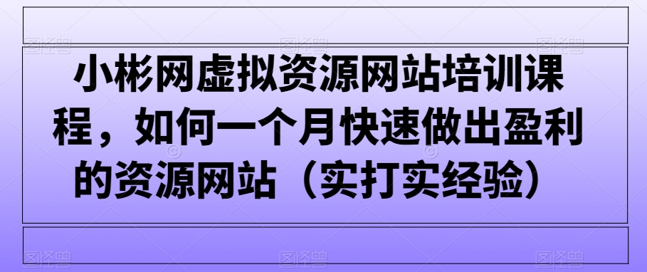 小彬网虚拟资源网站培训课程，如何一个月快速做出盈利的资源网站（实打实经验）-AI学习资源网