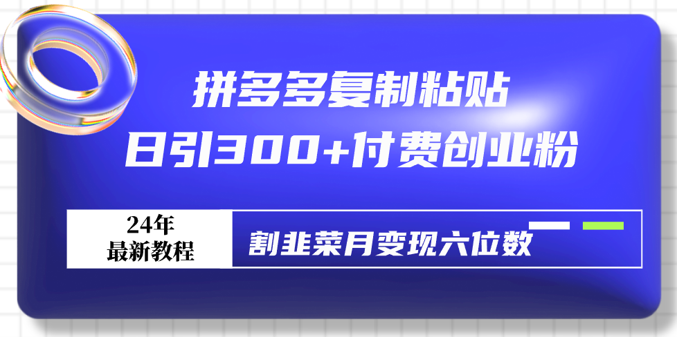 拼多多复制粘贴日引300+付费创业粉，割韭菜月变现六位数最新教程！-AI学习资源网