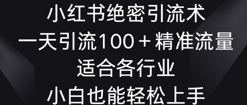 小红书绝密引流术，一天引流100+精准流量，适合各个行业，小白也能轻松上手-AI学习资源网