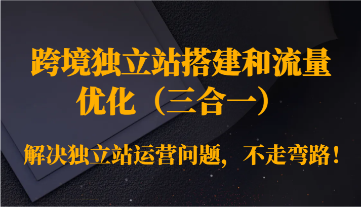 跨境独立站搭建和流量优化（三合一）解决独立站运营问题，不走弯路！-AI学习资源网