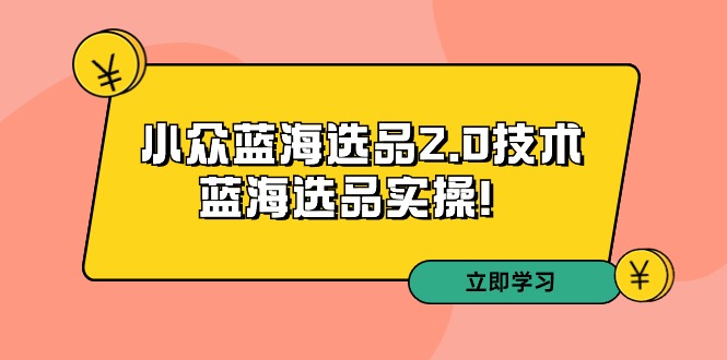 拼多多培训第33期：小众蓝海选品2.0技术-蓝海选品实操-AI学习资源网