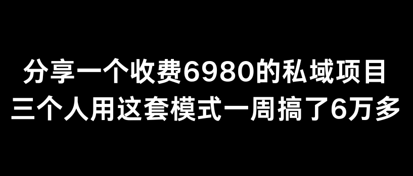 分享一个外面卖6980的私域项目三个人用这套模式一周搞了6万多-AI学习资源网