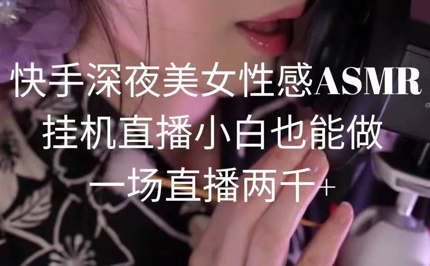 快手深夜美女性感ASMR挂机直播，小白也能做，一场直播两千+-AI学习资源网