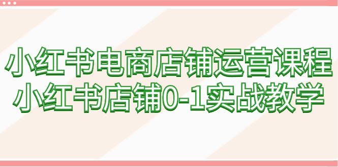 小红书电商店铺运营课程，小红书店铺0-1实战教学（60节课）-AI学习资源网