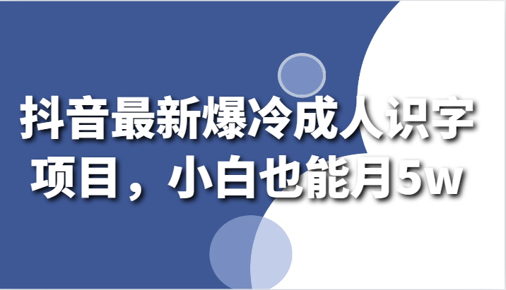 抖音最新爆冷成人识字项目，小白也能月5w-AI学习资源网