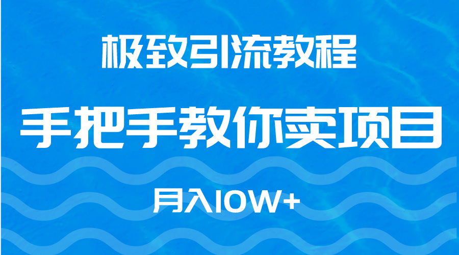 极致引流教程，手把手教你卖项目，月入10W+-AI学习资源网