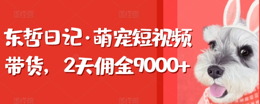 东哲日记·萌宠短视频带货，2天佣金9000+-AI学习资源网