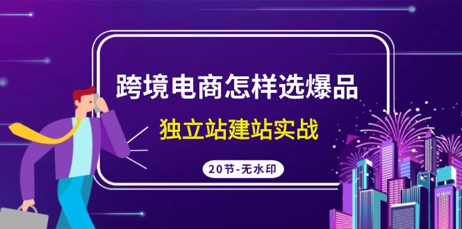 跨境电商怎样选爆品，独立站建站实战（20节高清无水印课）-AI学习资源网