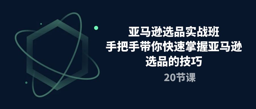 亚马逊选品实战班，手把手带你快速掌握亚马逊选品的技巧（20节课）-AI学习资源网