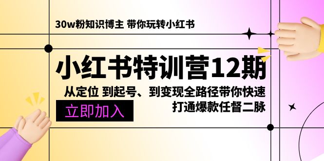 小红书特训营12期：从定位 到起号、到变现全路径带你快速打通爆款任督二脉-AI学习资源网