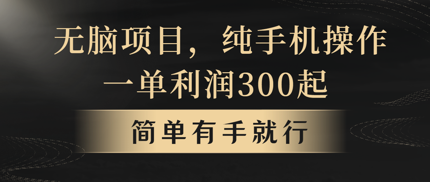 无脑项目，一单几百块，轻松月入5w+，看完就能直接操作-AI学习资源网