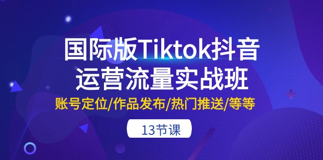 国际版Tiktok抖音运营流量实战班：账号定位/作品发布/热门推送/等等13节-AI学习资源网