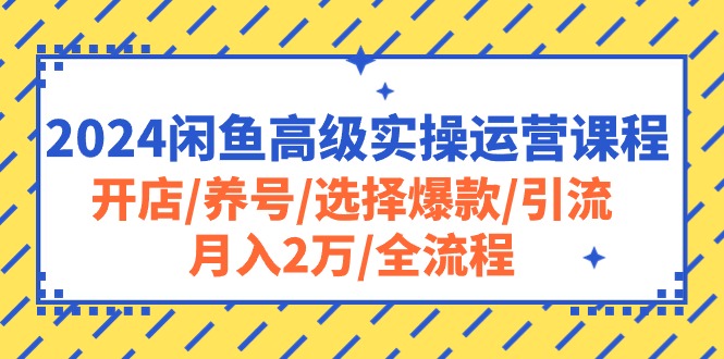 2024闲鱼高级实操运营课程：开店/养号/选择爆款/引流/月入2万/全流程-AI学习资源网