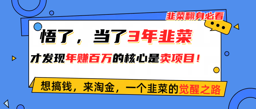 悟了，当了3年韭菜，才发现网赚圈年赚100万的核心是卖项目，含泪分享！-AI学习资源网