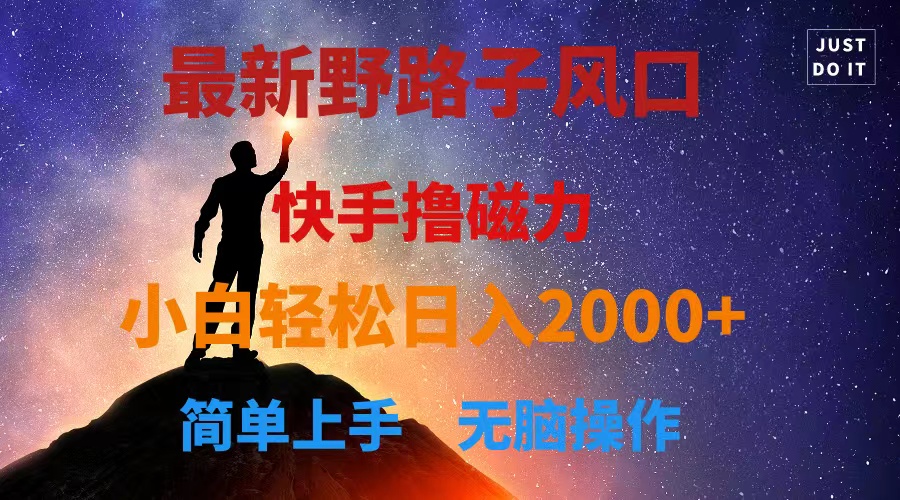 最新风口！快手撸磁力，野路子，小白无脑操作日入2000+-AI学习资源网