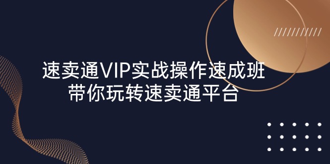 速卖通 VIP实战操作速成班，带你玩转速卖通平台（23节）-AI学习资源网