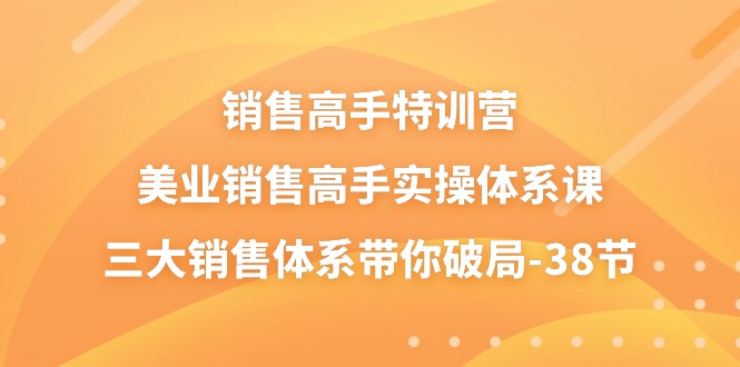 销售高手特训营，美业销售高手实操体系课，三大销售体系带你破局38节-AI学习资源网