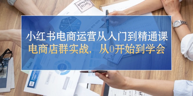 小红书电商运营从入门到精通课，电商店群实战，从0开始到学会-AI学习资源网