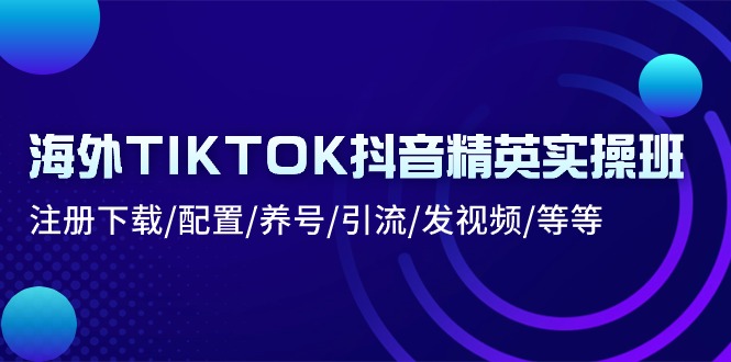 海外TIKTOK抖音精英实操班：注册下载/配置/养号/引流/发视频/等等-AI学习资源网