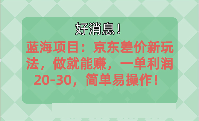 越早知道越能赚到钱的蓝海项目：京东大平台操作，一单利润2030，简单…-AI学习资源网