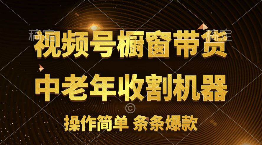 [你的孩子成功取得高位]视频号最火爆赛道，橱窗带货，流量分成计划，条…-AI学习资源网