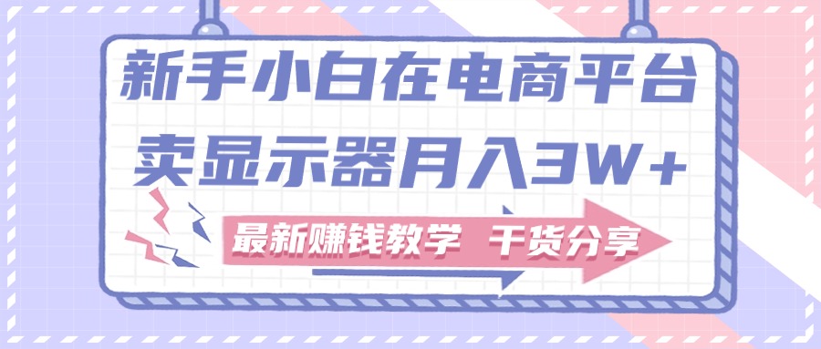 新手小白如何做到在电商平台卖显示器月入3W+，最新赚钱教学干货分享-AI学习资源网