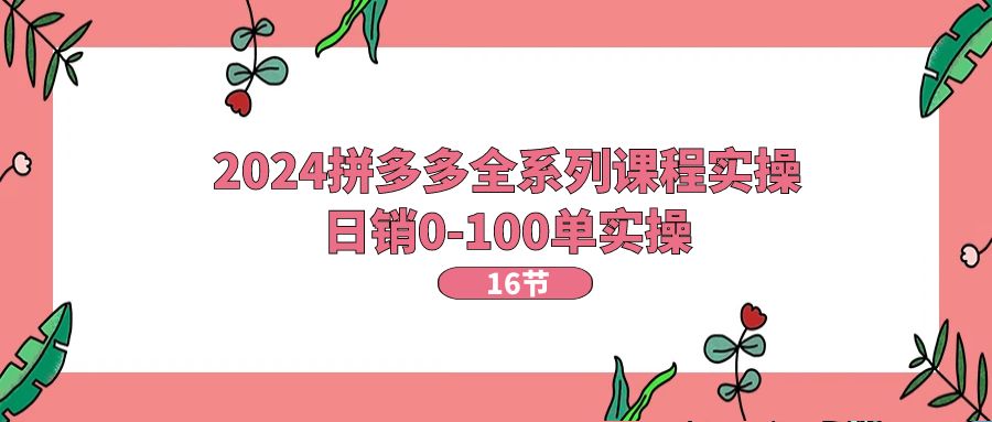 2024拼多多全系列课程实操，日销0100单实操【16节课】-AI学习资源网