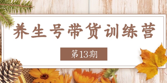 养生号带货训练营【第13期】收益更稳定的玩法，让你带货收益爆炸-AI学习资源网