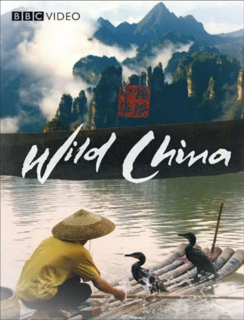 美丽中国(2008) 1080P-AI学习资源网