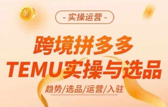 跨境拼多多TEMU实操与选品，多多temu跨境选品运营实操-AI学习资源网