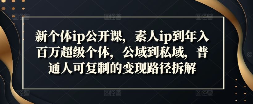 新个体ip公开课，素人ip到年入百万超级个体，公域到私域，普通人可复制的变现路径拆解-AI学习资源网