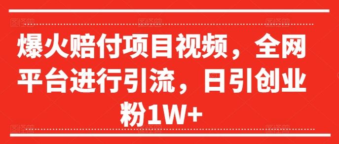 爆火赔付项目视频，全网平台进行引流，日引创业粉1W+【揭秘】-AI学习资源网