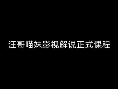 汪哥影视解说正式课程：剪映/PR教学/视解说剪辑5大黄金法则/全流程剪辑7把利器等等-AI学习资源网