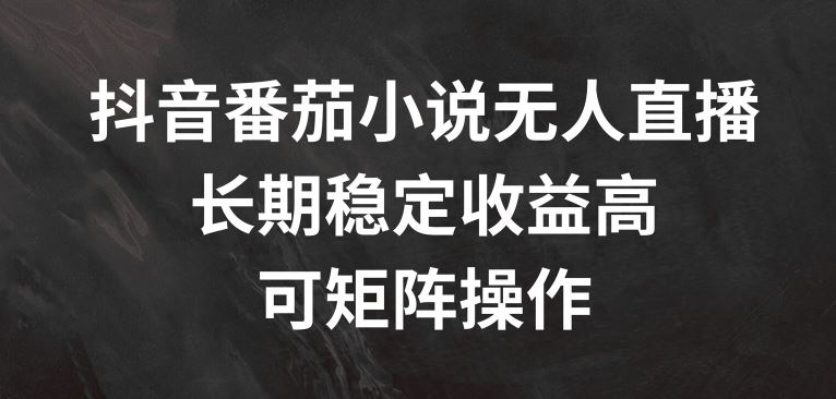 抖音番茄小说无人直播，长期稳定收益高，可矩阵操作【揭秘】-AI学习资源网