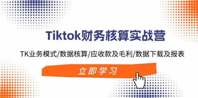 Tiktok财务核算实战营：TK业务模式/数据核算/应收款及毛利/数据下载及报表-AI学习资源网