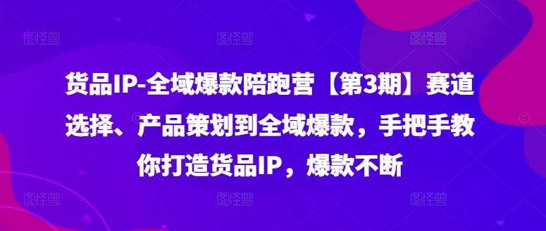 货品IP全域爆款陪跑营【第3期】赛道选择、产品策划到全域爆款，手把手教你打造货品IP，爆款不断-AI学习资源网