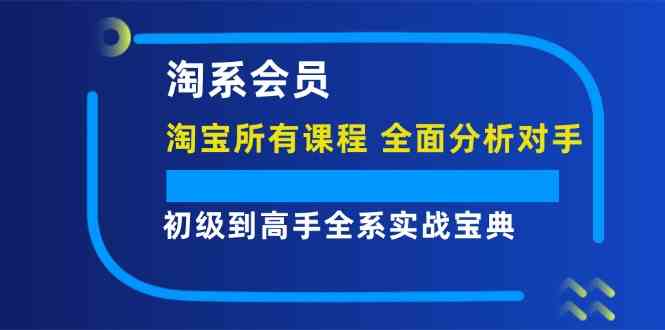 淘系会员初级到高手全系实战宝典【淘宝所有课程，全面分析对手】-AI学习资源网