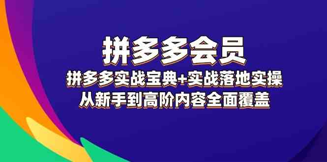 拼多多会员实战宝典+实战落地实操，从新手到高阶内容全面覆盖-AI学习资源网