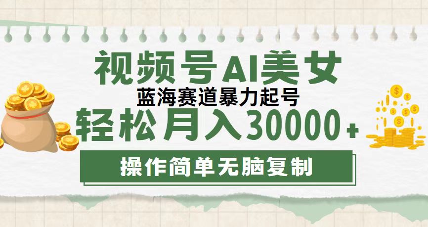 （12087期）视频号AI美女跳舞，轻松月入30000+，蓝海赛道，流量池巨大，起号猛，无…-AI学习资源网